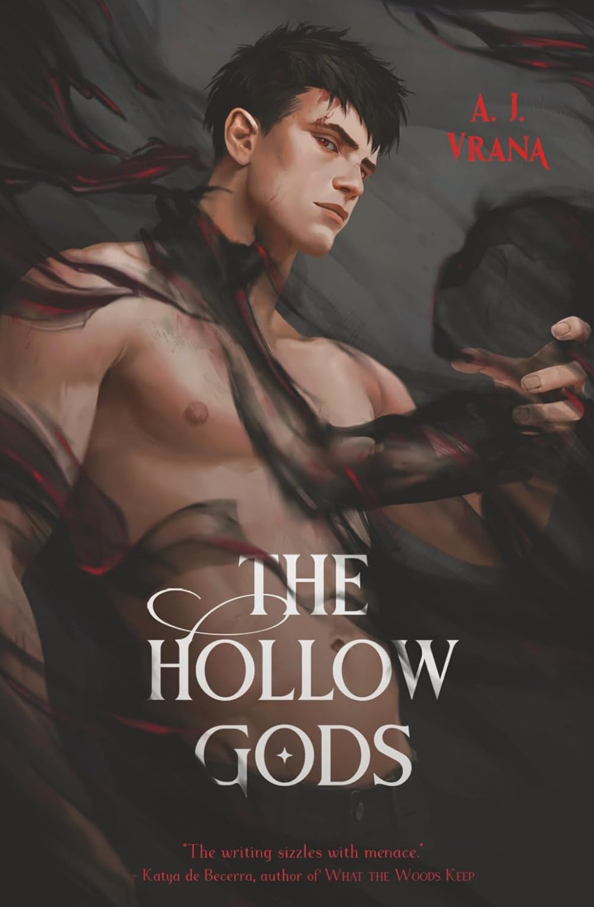 Signed: The Hollow Gods (The Chaos Cycle Book 1) - A.J. Vrana